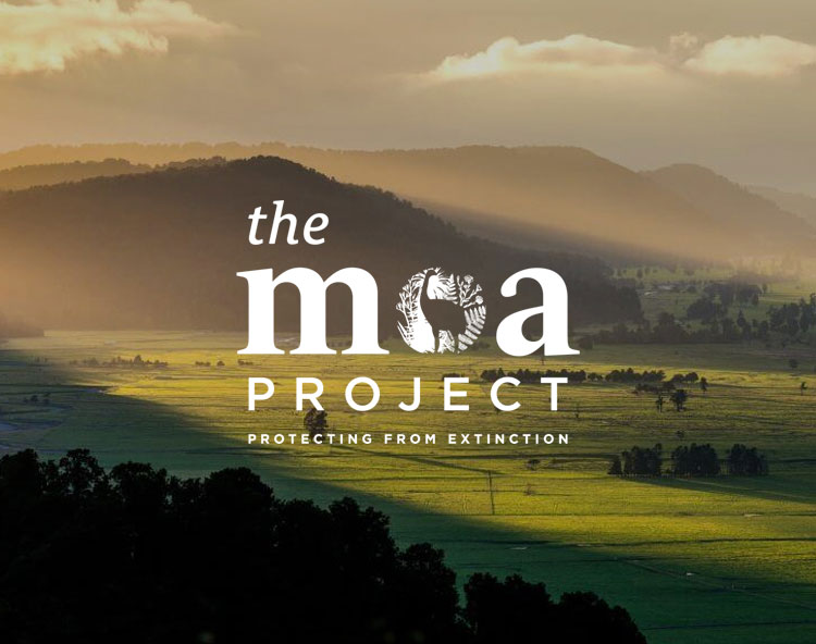 The Moa Project Image